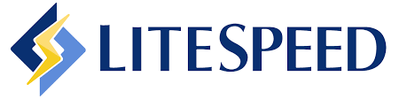 Web Hosting Performansını Uçuran Teknoloji: LiteSpeed ve LSCache